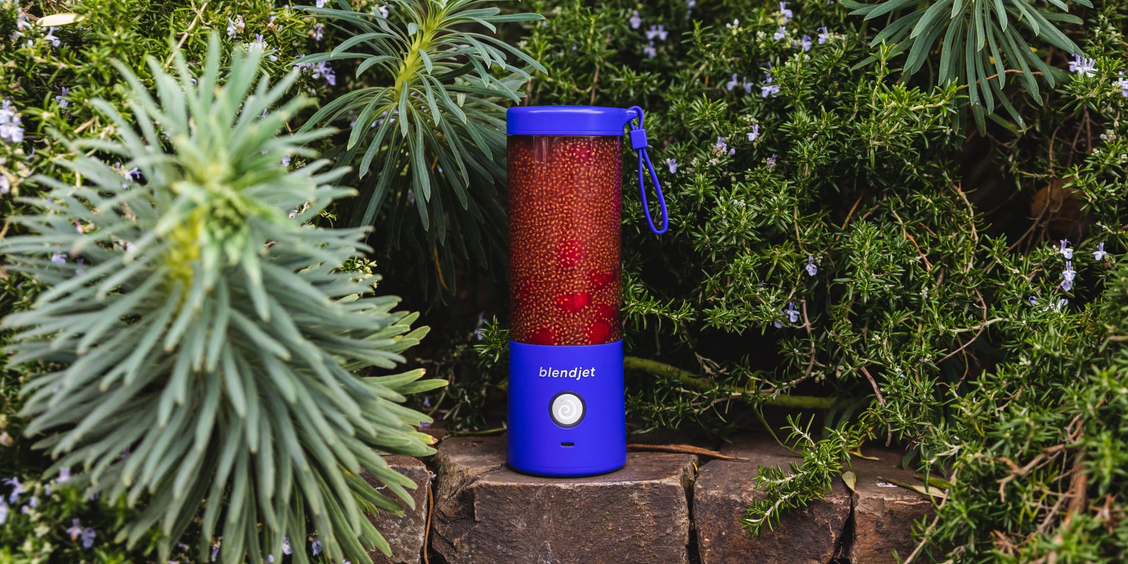 hero image Royal Blue